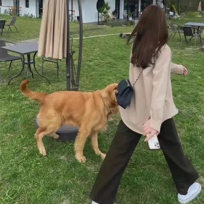心不在焉的服务生